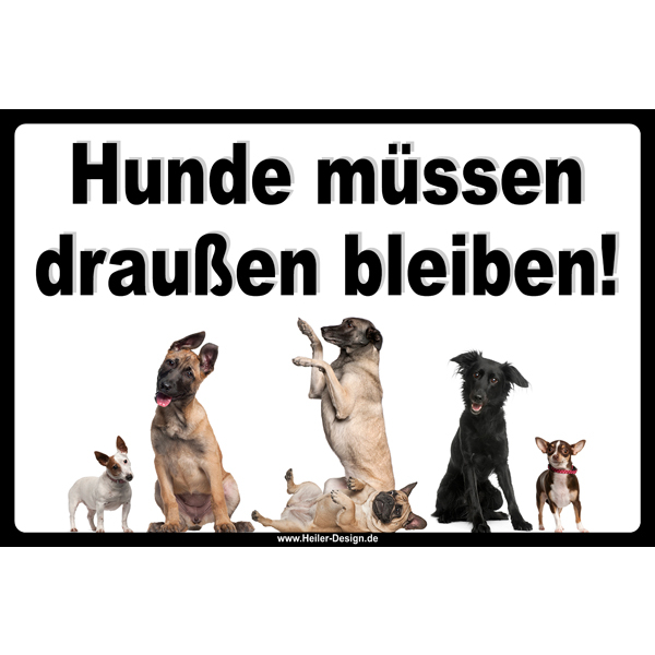 Schilder Verbotsschilder Schild Hund Allerlei Drucksachen, 5,49