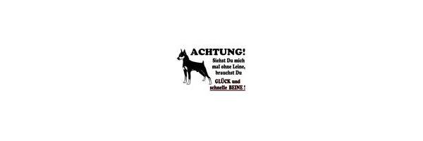 Hund Grundstück