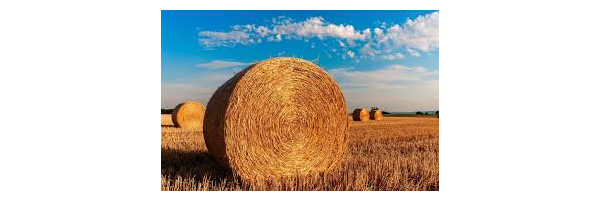 Landwirtschaft