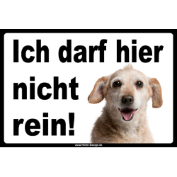 Verbotsschild Hund Ich darf hier nicht rein 2 100 mm x...