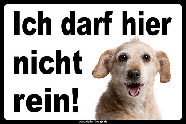 Verbotsschild Hund Ich darf hier nicht rein 2 150 mm x 300 mm 2 mm Alu Verbundplatte 4 Löcher Ecken abgerundet