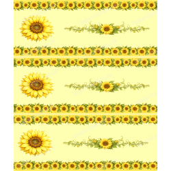 Wandbordüre Sonnenblumen Ranke Landhaus Stil warme Sommer Deko für Küche Wohnraum