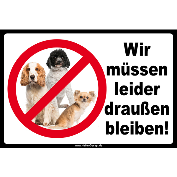 Schilder Verbotsschilder Schild Hund Allerlei Drucksachen, 4,49