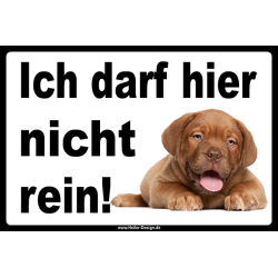 Verbotsschild Hund Ich darf hier nicht rein!