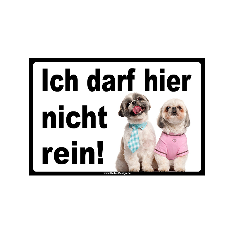 Verbotsschild Hund Ich darf hier nicht rein 3