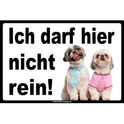 Verbotsschild Hund Ich darf hier nicht rein 3