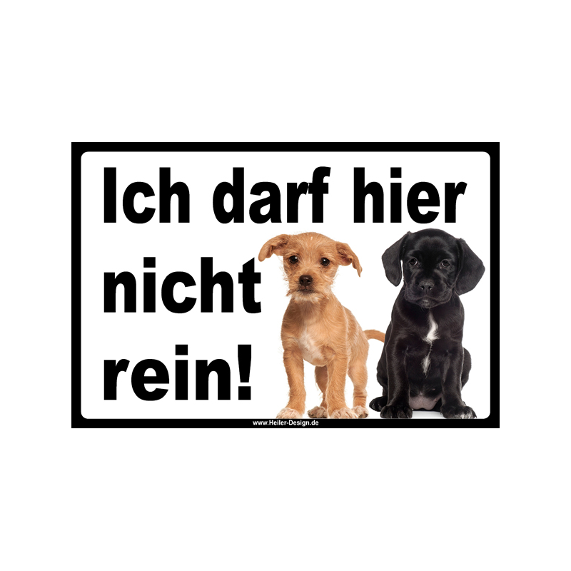 Verbotsschild Hund Ich darf hier nicht rein 4