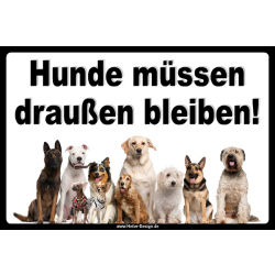 Verbotsschild Hunde müssen draußen bleiben. - 2