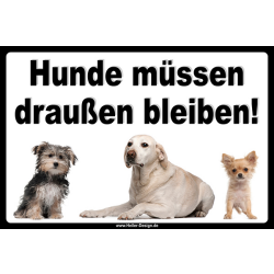 Verbotsschild Hunde müssen draußen bleiben. - 4