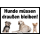 Verbotsschild Hunde müssen draußen bleiben. - 4