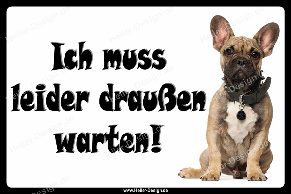 Hundeverbot-Schild „Ich Muss Leider Draußen Bleiben“ – 30x20 Cm, Wetterfest