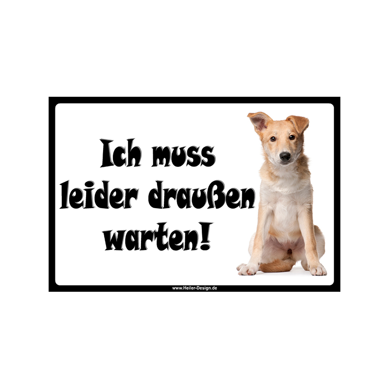 Verbotsschild Hund Ich muss leider draußen warten 3