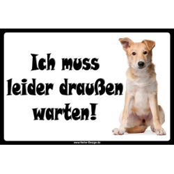 Verbotsschild Hund Ich muss leider draußen warten 3