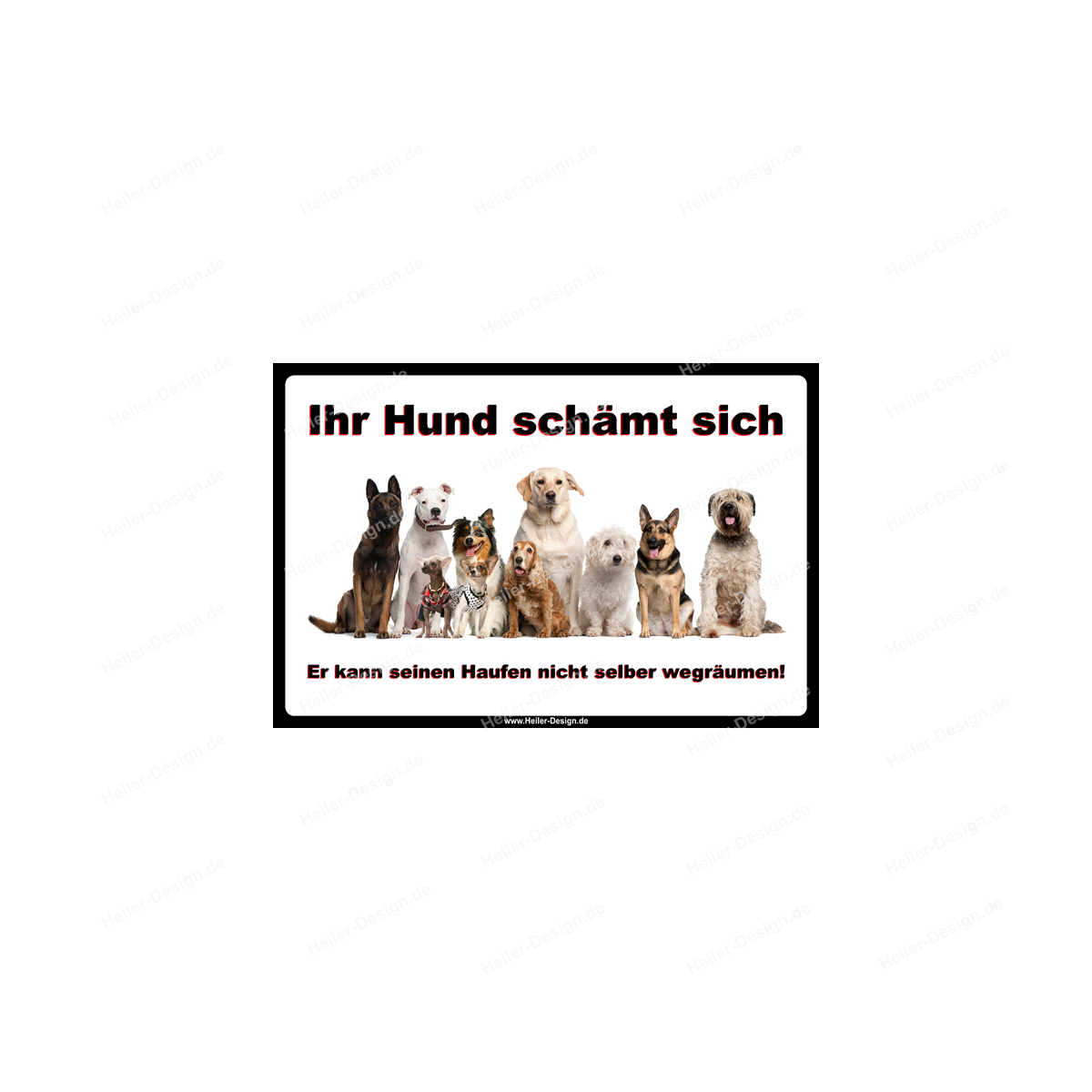 Schilder Verbotsschilder Schild Hund Allerlei Drucksachen, 4,49