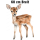 Prinzessin2-0015