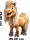 Pferde1-0025