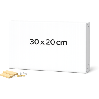 30 x 20 cm Canvas on a Stretcher