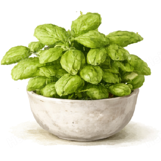 Design - 49 siehe Bild